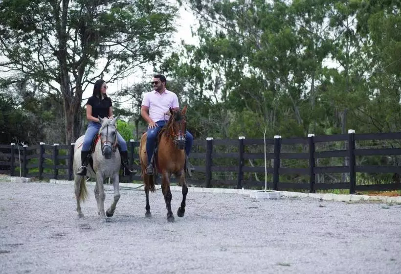 ホテル Fazenda Três Tesouros