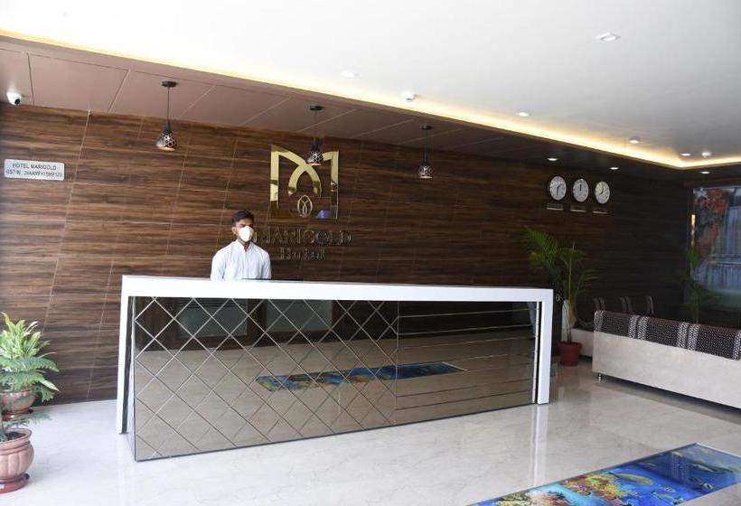 Hotel Marigold