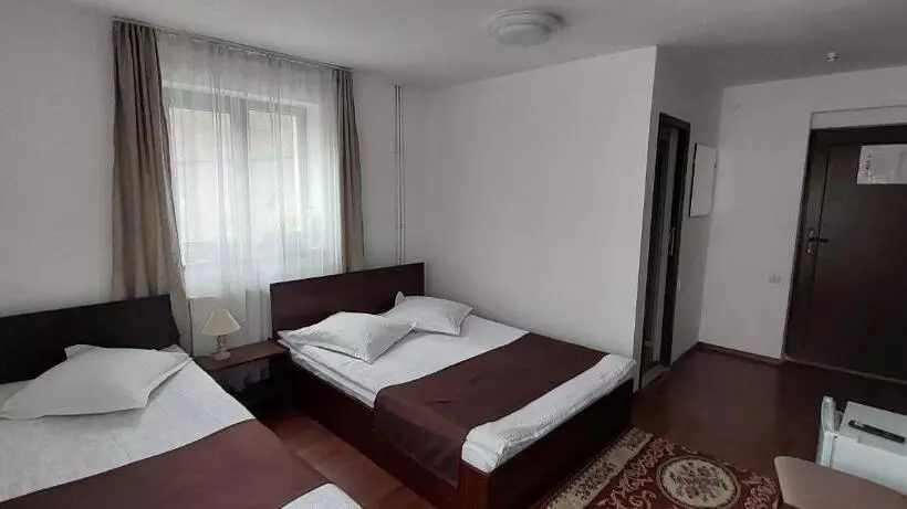 Pension Casa Ryana Sinaia