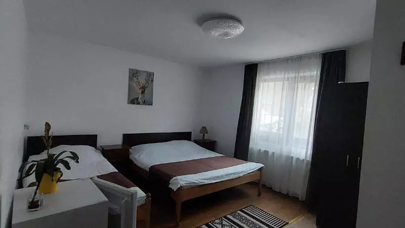 Pension Casa Ryana Sinaia