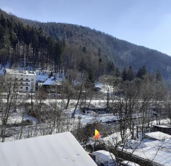 Пансион Casa Ryana Sinaia