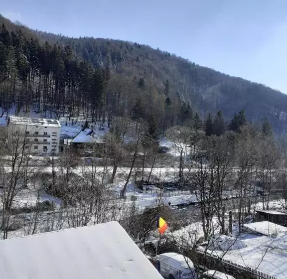 Pension Casa Ryana Sinaia