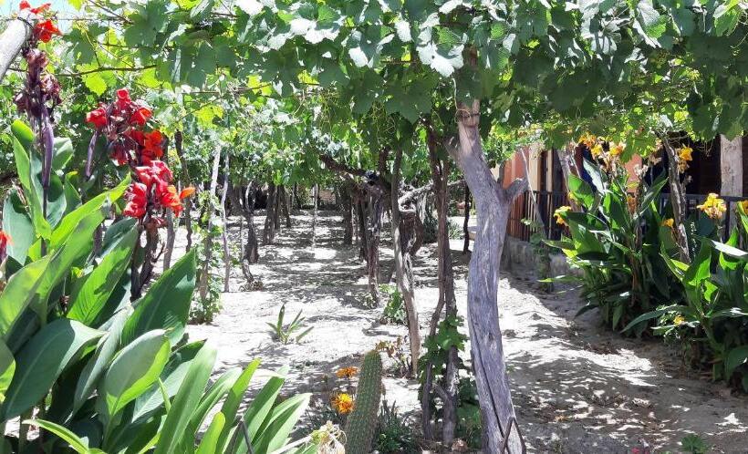 Majatalo Mamaku Huasi