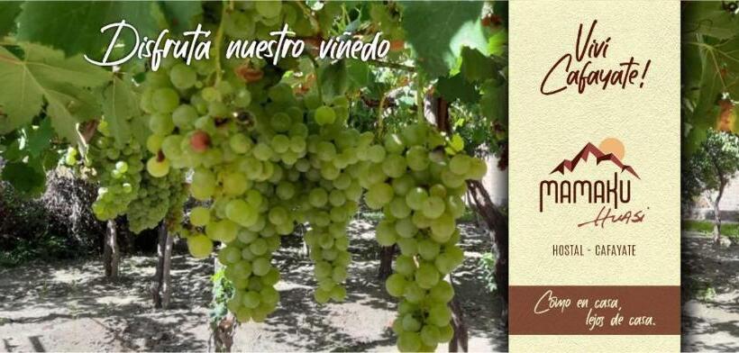 Majatalo Mamaku Huasi