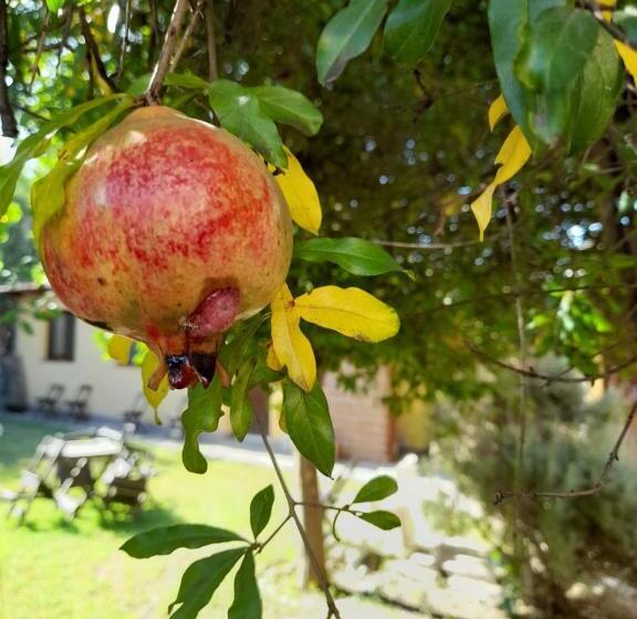 Majatalo Mamaku Huasi