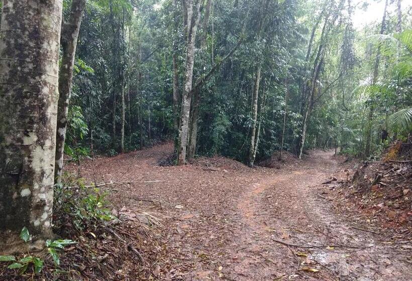 Пансион Pousada Flor Nativa