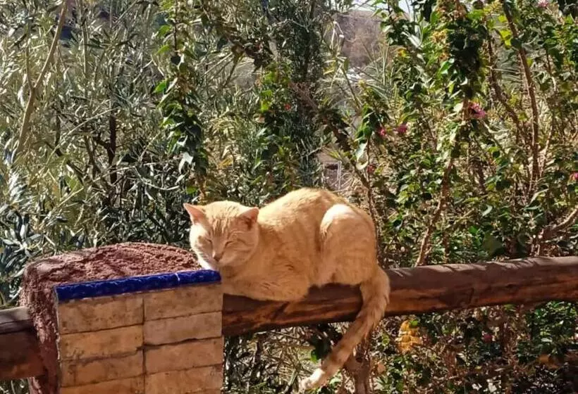 Aamiaismajoitus (B&B) Abla Room