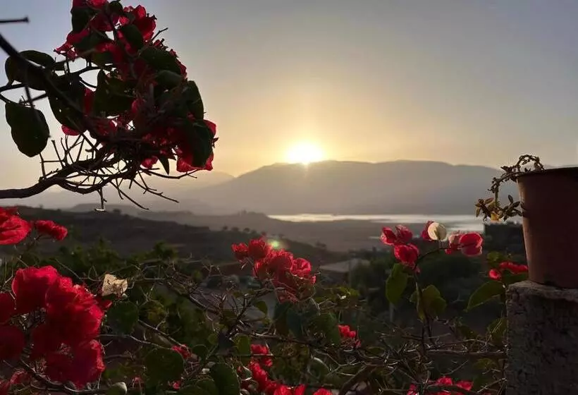 Aamiaismajoitus (B&B) Abla Room