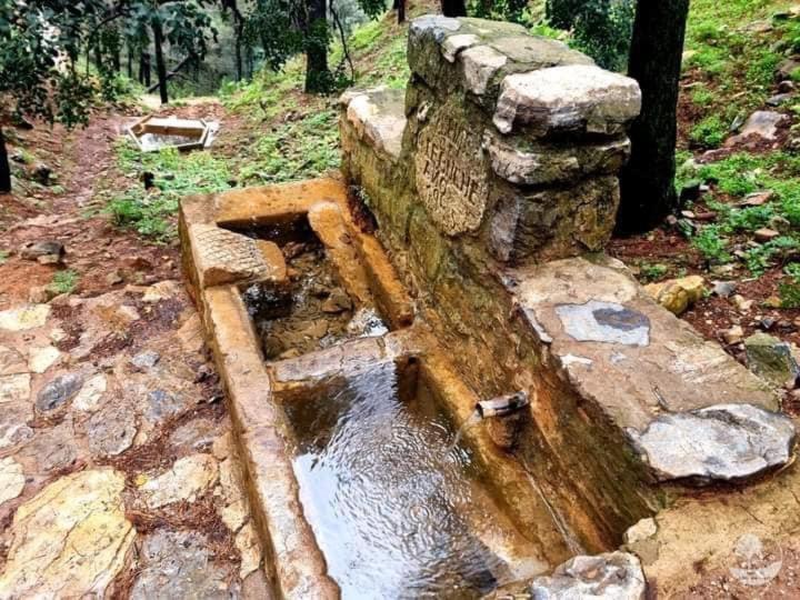 Bed and Breakfast Backpackers La Gaditana