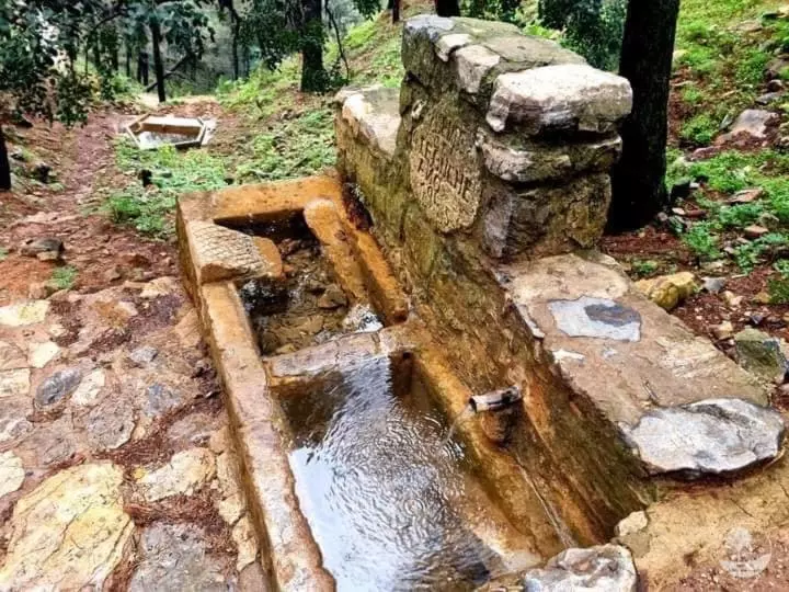 ベッドアンドブレックファースト Backpackers La Gaditana