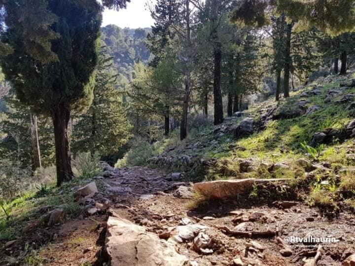 Bed and Breakfast Backpackers La Gaditana