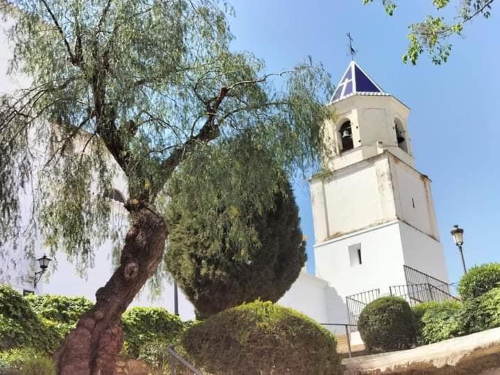 Bed and Breakfast Backpackers La Gaditana