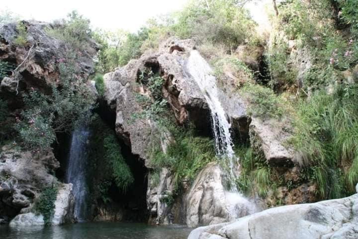 Bed and Breakfast Backpackers La Gaditana