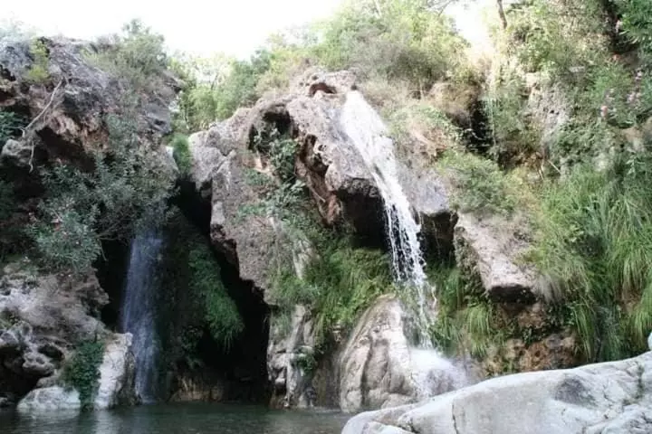 ベッドアンドブレックファースト Backpackers La Gaditana