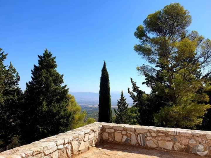 Bed and Breakfast Backpackers La Gaditana