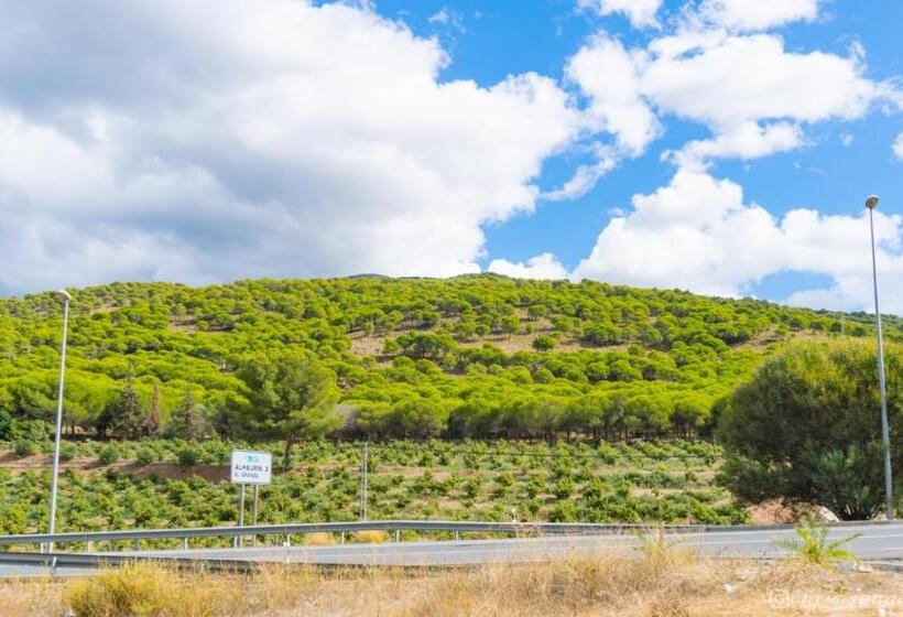 Bed and Breakfast Backpackers La Gaditana