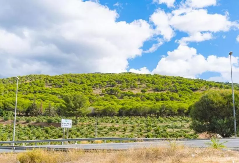 ベッドアンドブレックファースト Backpackers La Gaditana