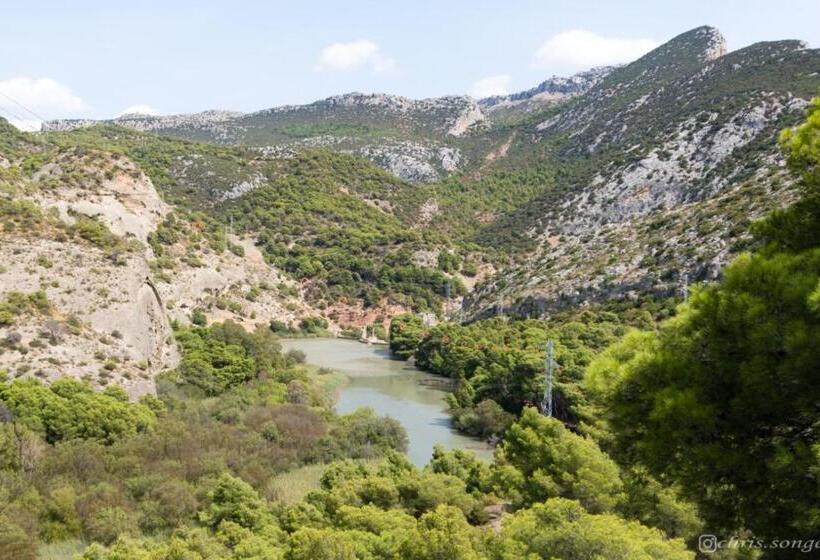 Bed and Breakfast Backpackers La Gaditana