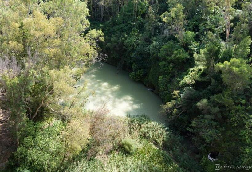 Bed and Breakfast Backpackers La Gaditana