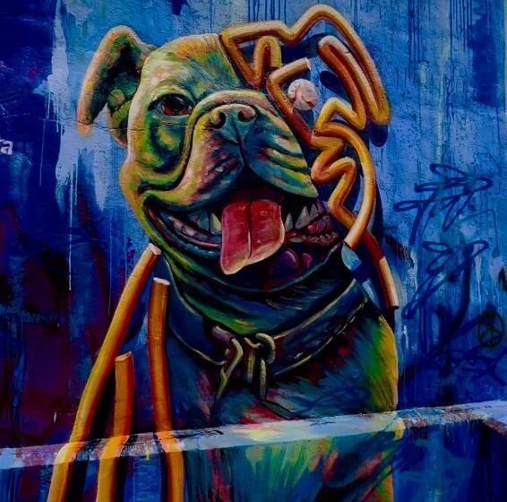 Bed and Breakfast Backpackers La Gaditana