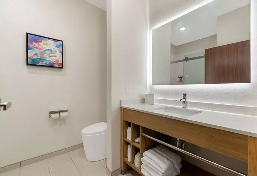 Hotel La Quinta Inn & Suites By Wyndham Coralville Iowa City