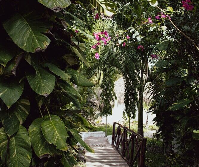 هتل Boutique Aurea