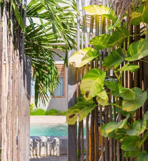 هاستل Hostal Doña Lucha