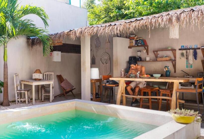 هاستل Hostal Doña Lucha