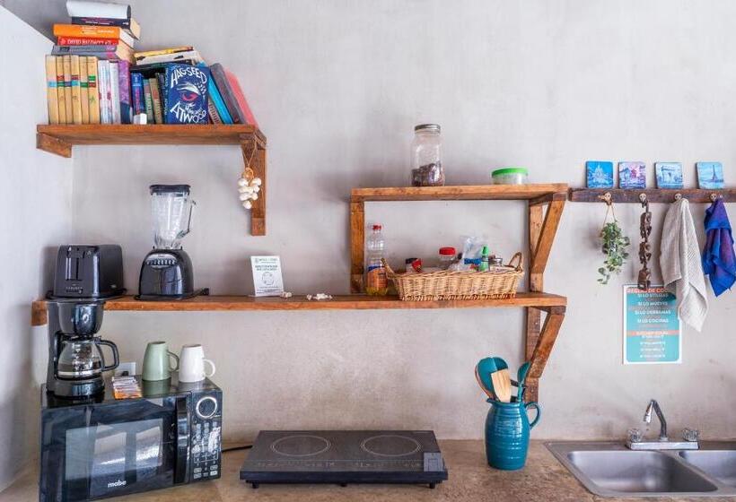 هاستل Hostal Doña Lucha