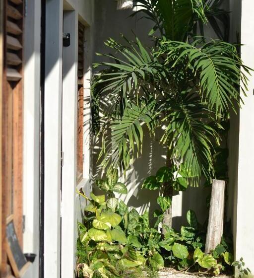 هاستل Hostal Doña Lucha