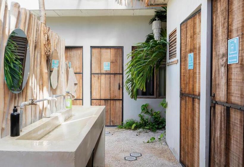 هاستل Hostal Doña Lucha