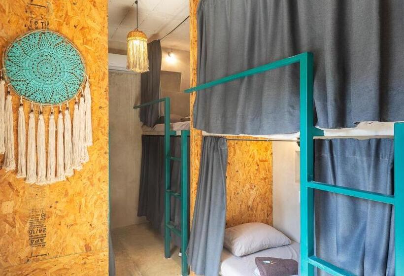 هاستل Hostal Doña Lucha