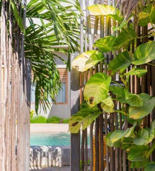 هاستل Hostal Doña Lucha