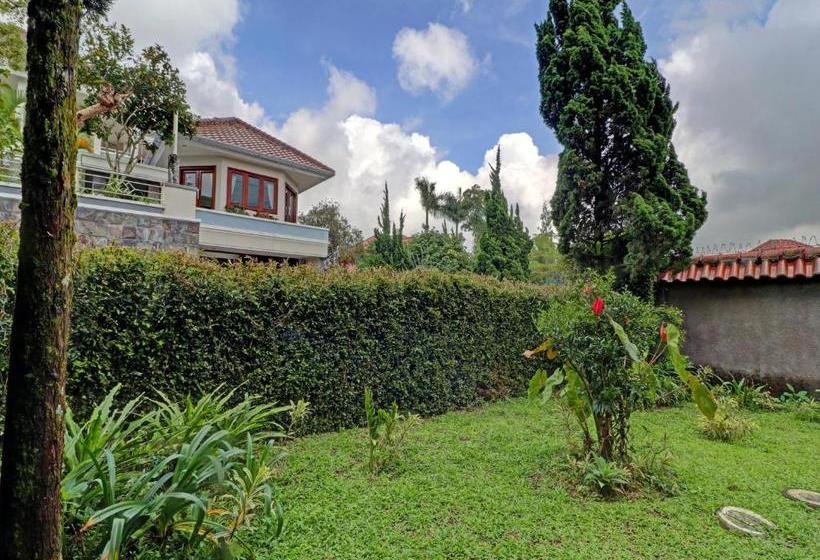 בית מלון כפרי Oyo 90329 Cipendawa Md38 Homestay