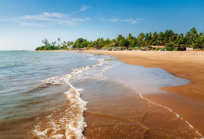 Hotelli Silver Waves S And Resorts
