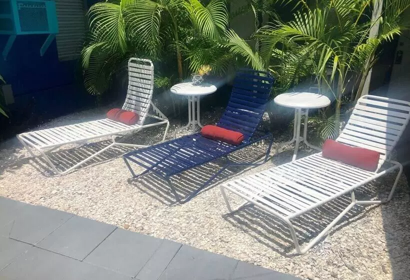 ホテル Sir David Guesthouse   Adults Only