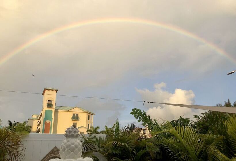 Otel Sir David Guesthouse   Adults Only