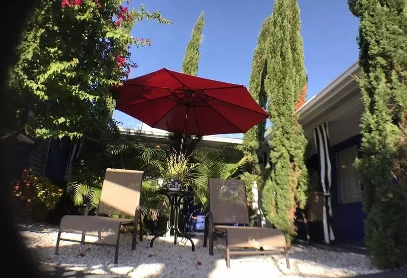 ホテル Sir David Guesthouse   Adults Only