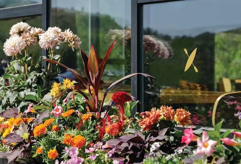 Hotelli The Eddy Taproom &