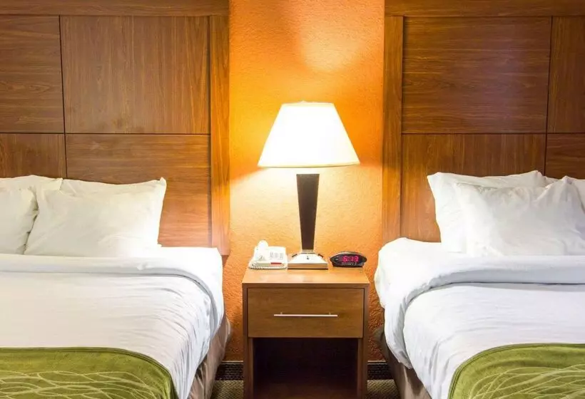 هتل Comfort Inn & Suites Airport Convention Center