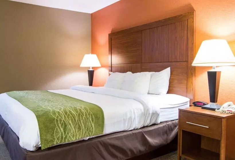 هتل Comfort Inn & Suites Airport Convention Center