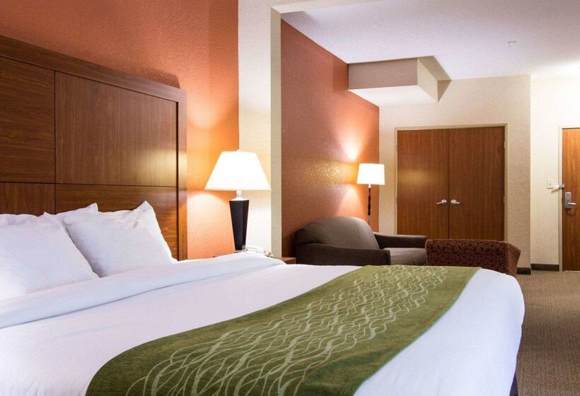 فندق Comfort Inn & Suites Airport Convention Center