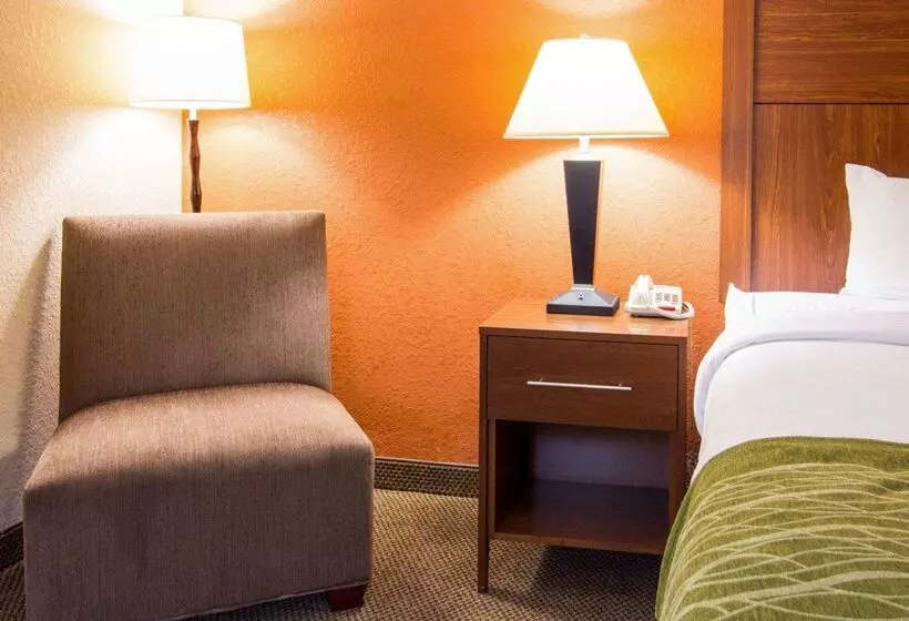 هتل Comfort Inn & Suites Airport Convention Center