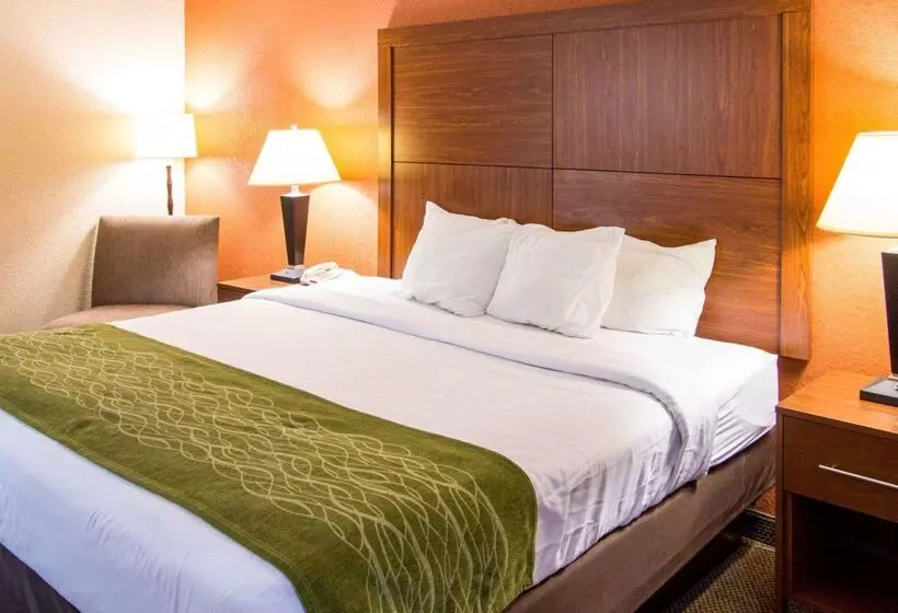 هتل Comfort Inn & Suites Airport Convention Center