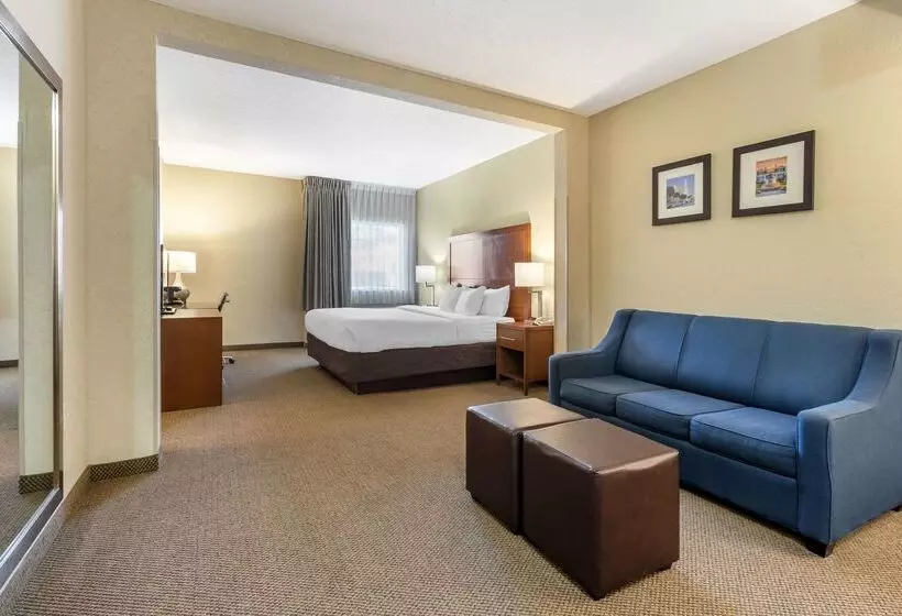 هتل Comfort Inn & Suites Airport Convention Center