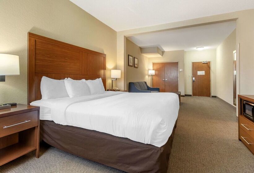 فندق Comfort Inn & Suites Airport Convention Center