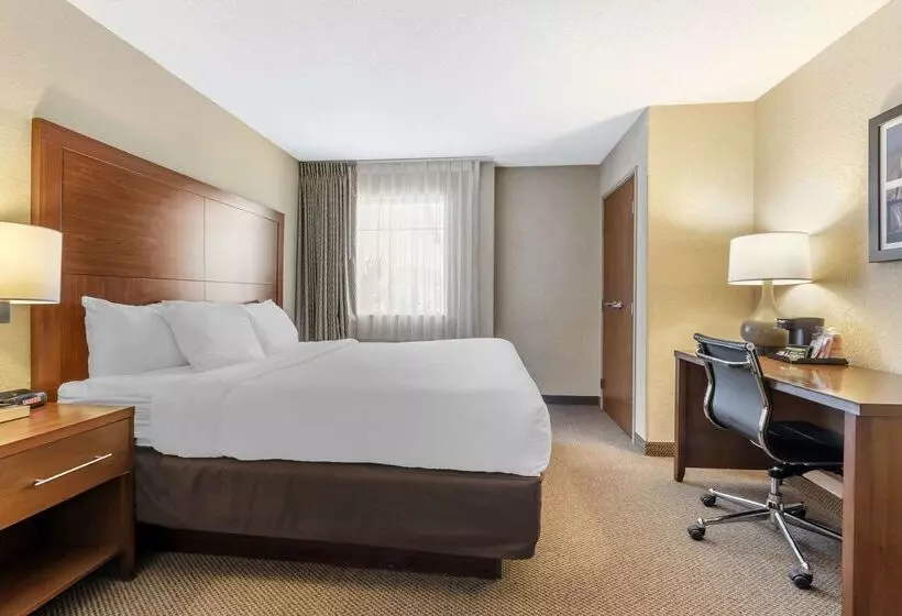 هتل Comfort Inn & Suites Airport Convention Center