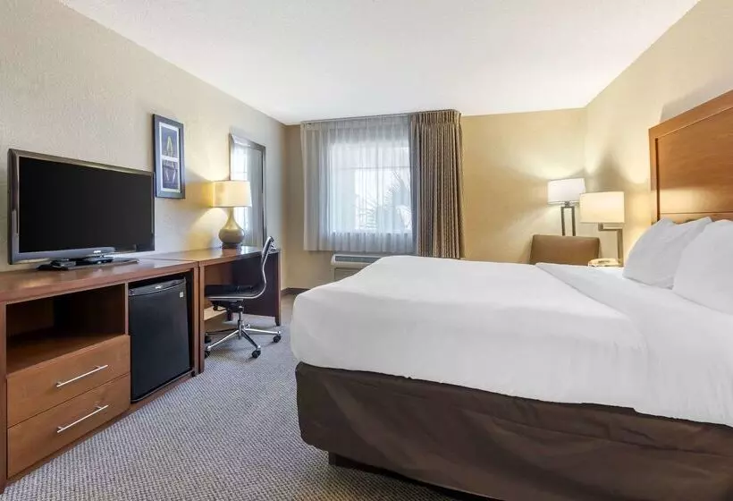 هتل Comfort Inn & Suites Airport Convention Center