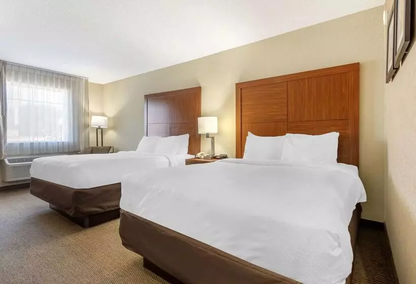 هتل Comfort Inn & Suites Airport Convention Center