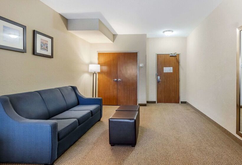 فندق Comfort Inn & Suites Airport Convention Center